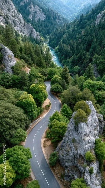 Obraz Winding Asphalt Road Through Lush Green Mountain Forest Beside Turquoise River Under Bright Sunlight
