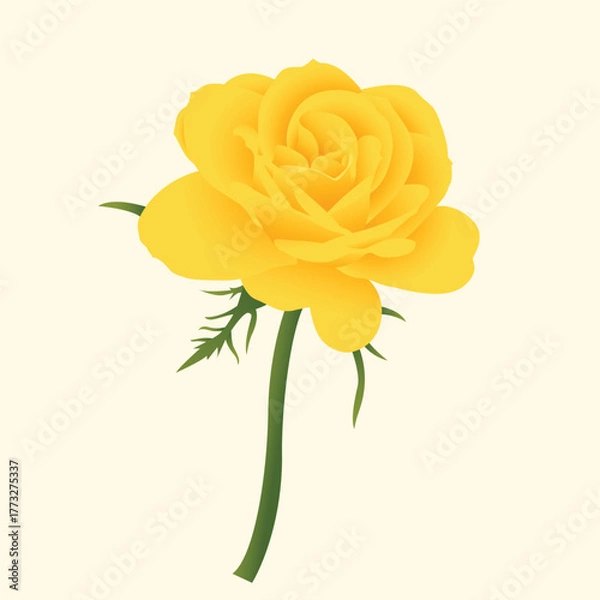 Obraz Realistic Natural Rose Vector Illustration