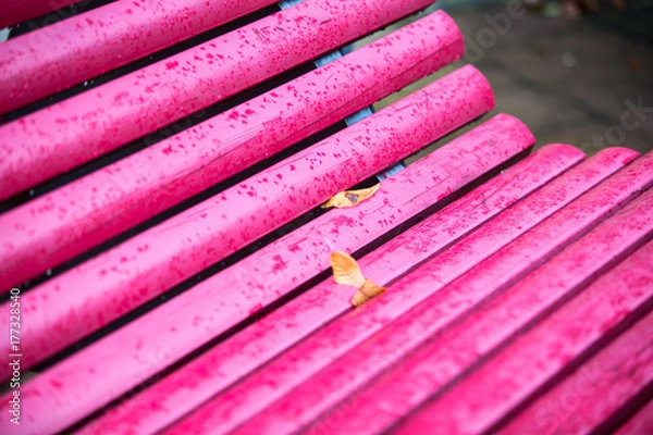 Fototapeta a leaf on a pink bench in autumn rain