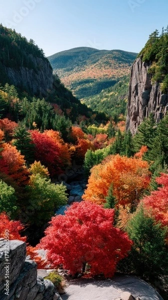 Fototapeta Vibrant Sunlit Hills Ablaze With Autumn Foliage In A Lush Forest Valley Under Clear Blue Skies