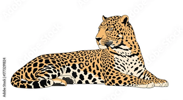 Fototapeta A majestic leopard with a beautiful spotted coat lies gracefully, its head turned slightly to the right, in a serene and watchful pose on a clean white background.