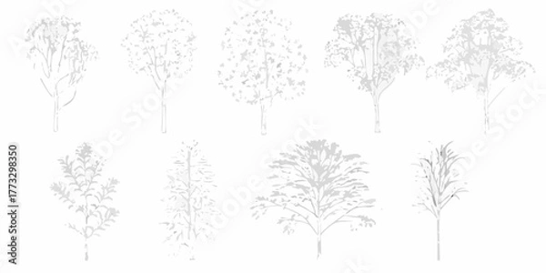 Fototapeta Collection of stylized white trees with delicate branches and leaves on a clean white background