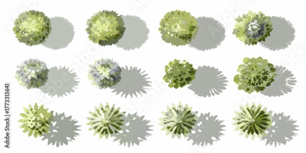 Fototapeta Collection of stylized green trees and shrubs viewed from directly above with distinct shadows