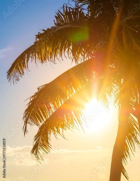 Obraz Sun flares through palm fronds against a bright, clear blue sky