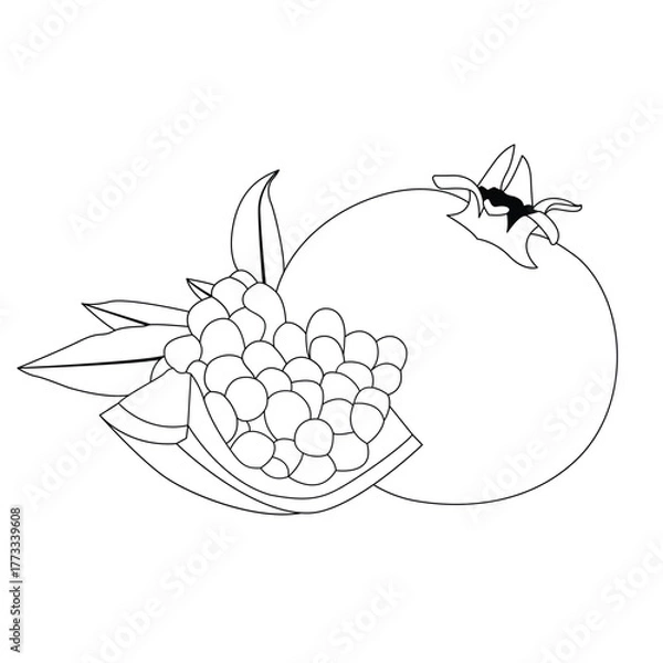 Obraz Pomegranate Fruit Line Art Vector Illustration with Seeds and Leaves