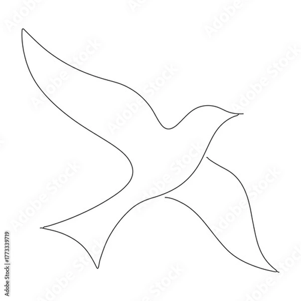 Fototapeta vector illustration of a bird line art
