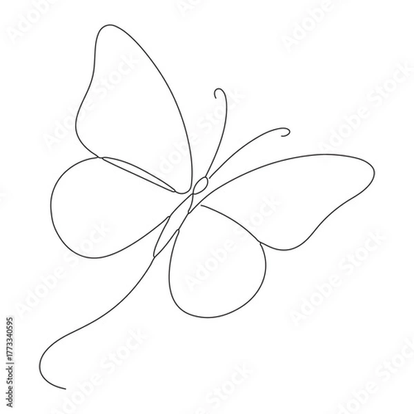 Fototapeta butterfly on a white background