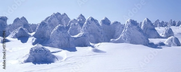 Obraz 제주 한라산 바위 설벽