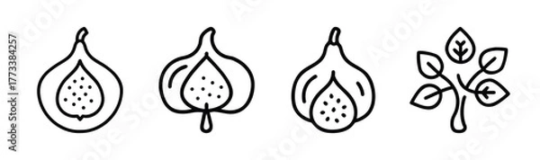 Fototapeta Fig fruit and leaf line art icons set simple organic food symbols for design
