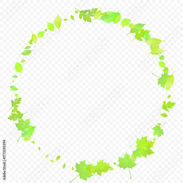 Obraz Leaves Falling. Spring Flying Foliage. Chaotic Green Leaf Flying On Transparent Background. Forest Design, Nature Elements. Ecology Vector Illustration. Environment Backdrop.