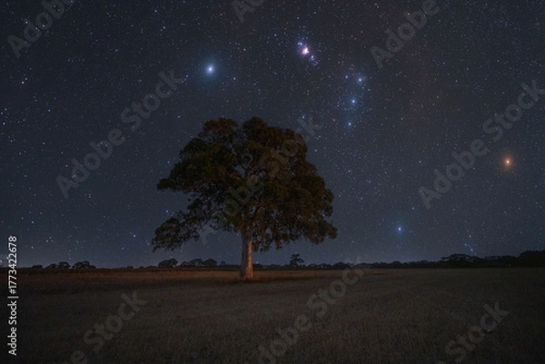 Obraz Starry night, the dark skies of South Australia