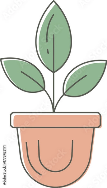 Obraz Simple potted plant with green leaves and a terracotta pot, symbolizing growth and nature.