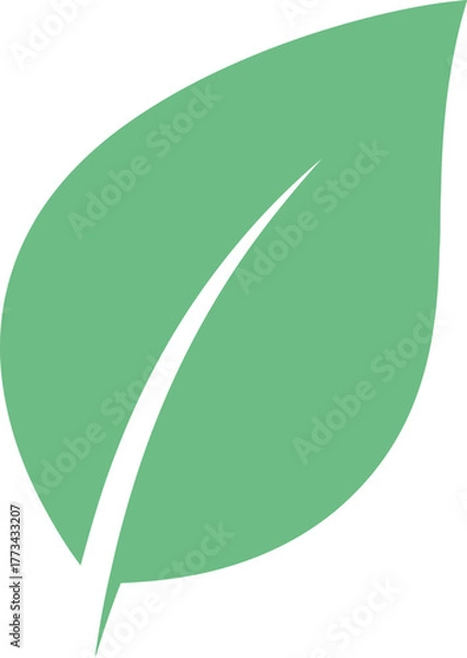 Obraz Simple green leaf illustration representing nature and growth