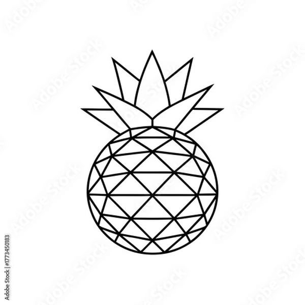 Fototapeta Geometric outline of pineapple on transparent background