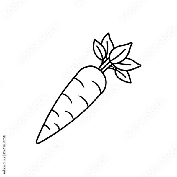 Fototapeta Outline drawing of a carrot on transparent background