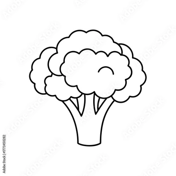 Fototapeta Outline drawing of a broccoli on transparent background