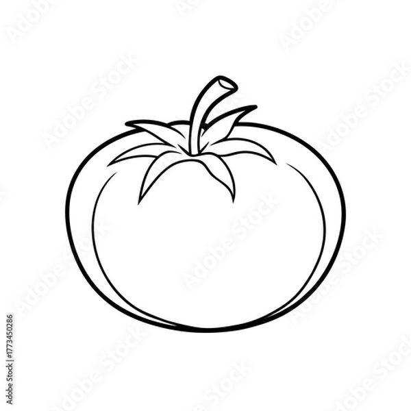 Fototapeta Outline drawing of a tomato on transparent background