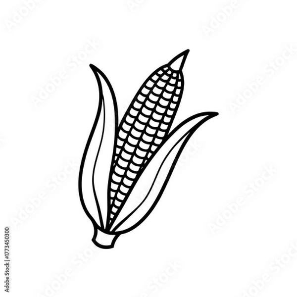 Fototapeta Outline drawing of an ear corn on transparent background