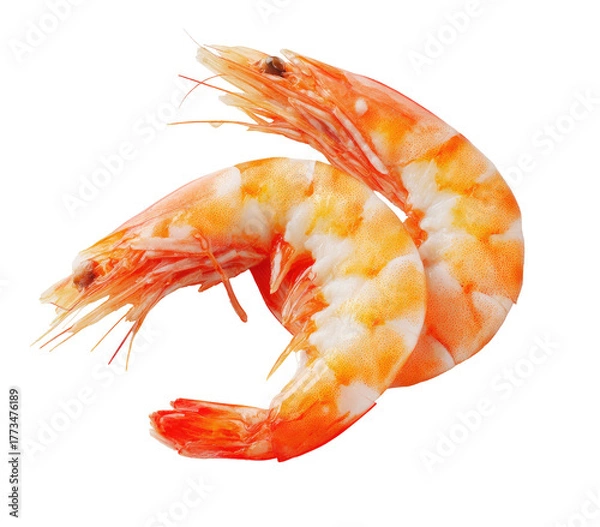 Fototapeta Two cooked shrimp with orange and white segments on black