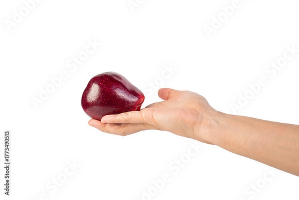 Fototapeta Red apple in hand transparent background