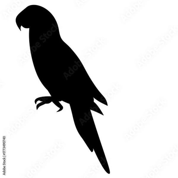 Obraz Parrot Silhouette 