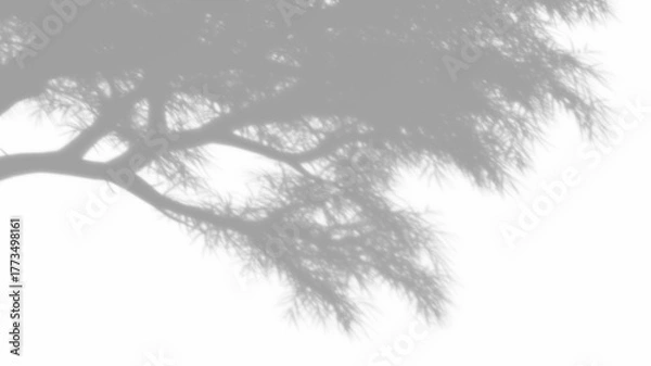 Obraz Overlay tree branches shadow effect on transparent background. high quality 3d render png format.	