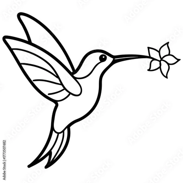 Fototapeta Hummingbird carrying a flower outline on transparent background