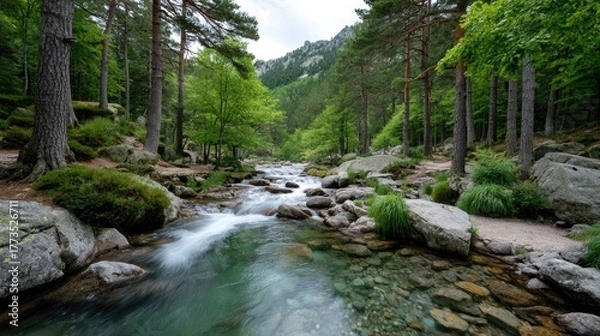 Obraz Vibrant Forest Stream Over Smooth Rocks Amidst Lush Green Trees and Rocky Terrain Under a Cloudy Sky