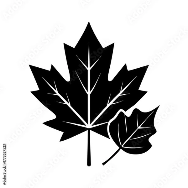 Fototapeta maple leaf silhouette 