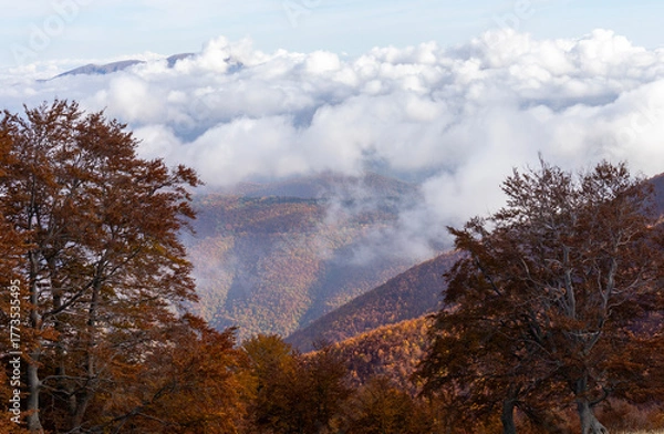 Fototapeta Gray sky and cloudy weather over the Monti della Laga mountains, covered with beech trees in autumn colors, Monti della Laga, Teramo, Abruzzo, Italy