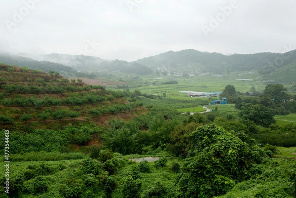 Obraz misty rural landscape