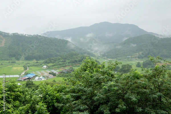 Obraz misty rural landscape