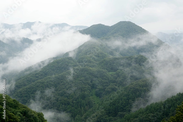 Obraz misty summer mountain