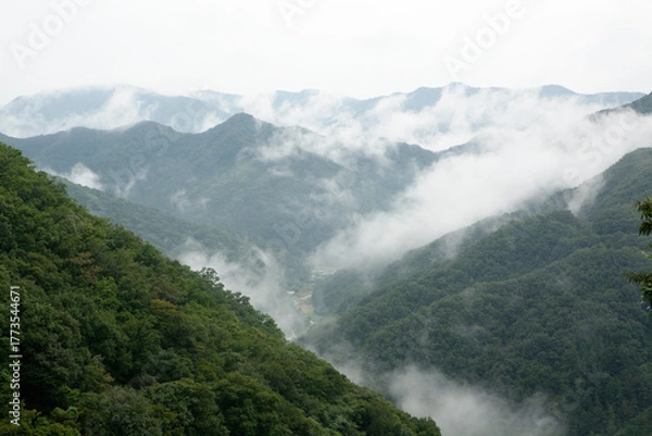 Obraz misty summer mountain