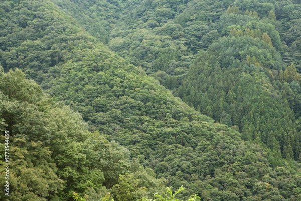 Obraz summer mountain