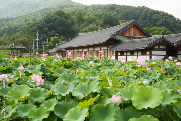 Obraz temple and lotus flowers