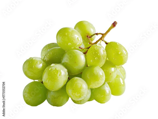 Obraz Fresh green grapes with water droplets on a dark background (3)
