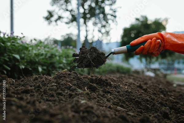 Obraz A person wearing orange gloves uses a small gardening tool to dig and prepare soil for planting in a garden.
