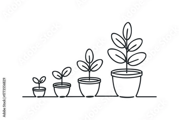Fototapeta Seedlings in pots showing growth progression