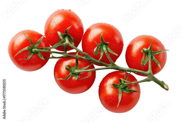 Fototapeta A vine of bright red, ripe cherry tomatoes on a dark background