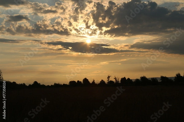 Fototapeta Brightly Beams