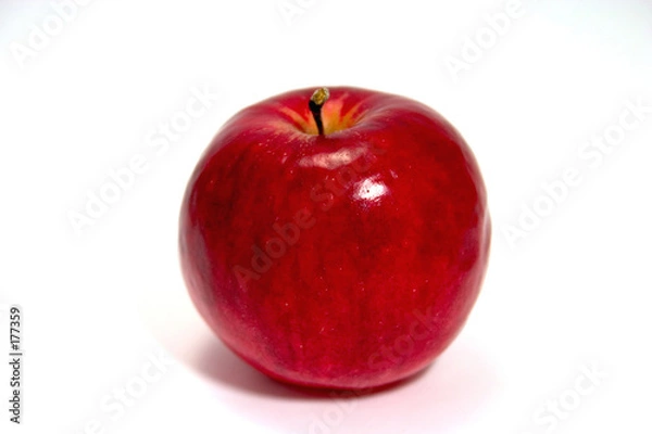Obraz single red apple