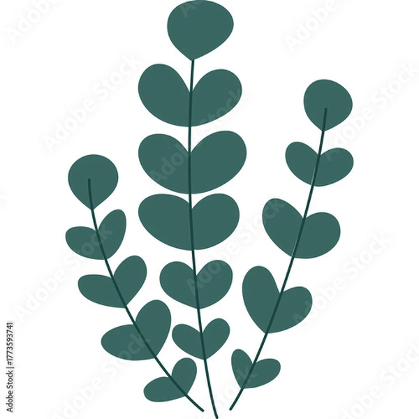 Fototapeta Dark Teal Abstract Plant Stems with Rounded Leaves on Transparent Background Vector Illustration