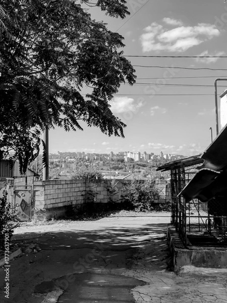 Obraz A black and white view down a narrow, shaded path in a residential area, with a cityscape visible in the distance under a cloudy sky