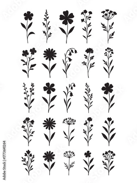 Fototapeta Black and white floral vector pattern with flowers leaves and decorative elements