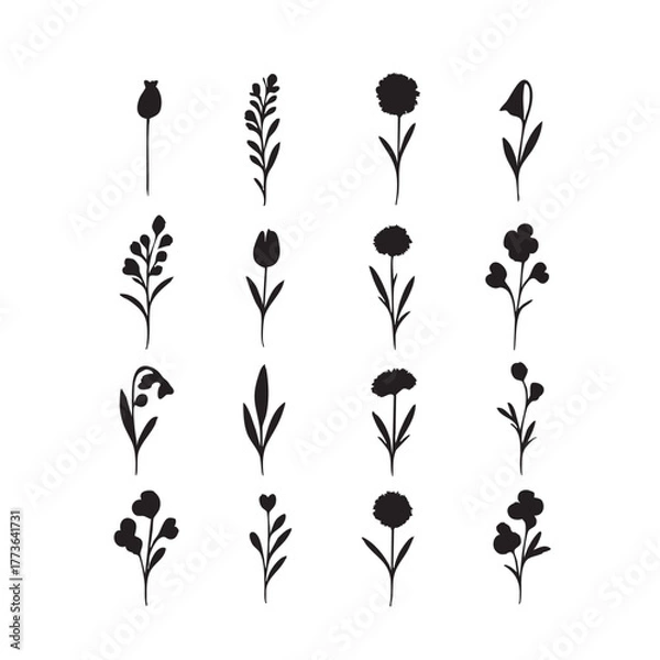 Fototapeta Floral Vector Set of Black and White Flower Silhouettes with Leaves and Ornaments