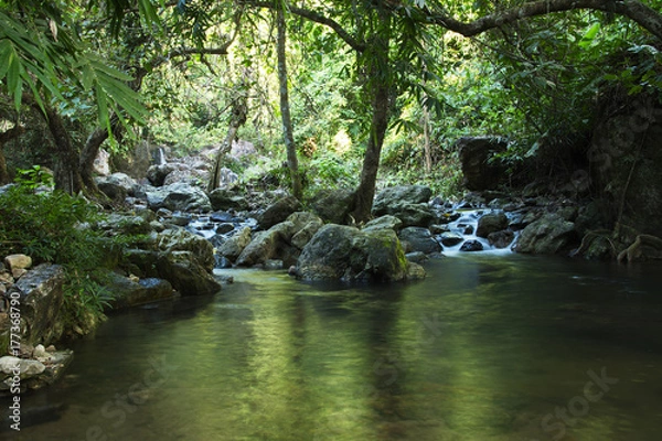Fototapeta Waterfall in the Shade
