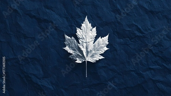 Obraz Silver Maple Leaf on Crumpled Denim