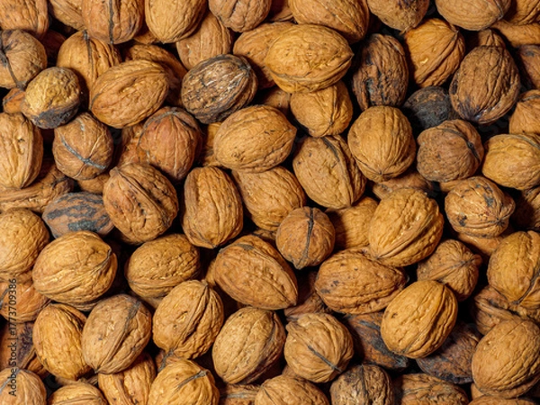 Fototapeta Natural, unpeeled walnuts in shells arranged in a dense composition creating an organic background. The close-up shows rich texture and warm brown tones. Perfect for culinary, health, eco