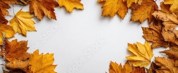Fototapeta Autumn leaves arranged in a frame on a white background
